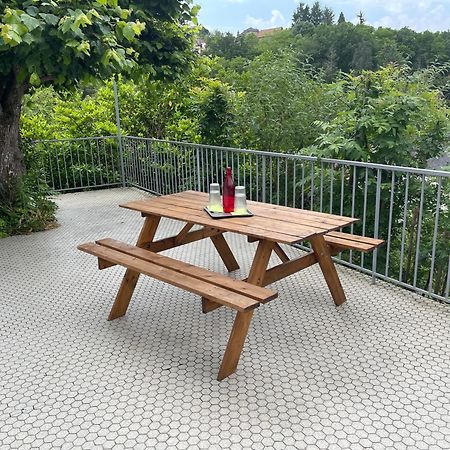 Paisible Eden Standing Terrasse - Magnifique Vue - Esprit Nature En Pleine Ville Tulle Εξωτερικό φωτογραφία