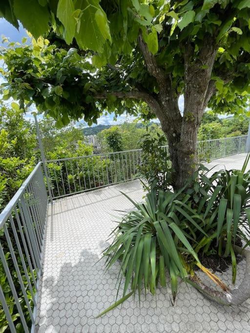 Paisible Eden Standing Terrasse - Magnifique Vue - Esprit Nature En Pleine Ville Tulle Εξωτερικό φωτογραφία